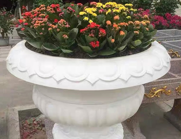 花盆